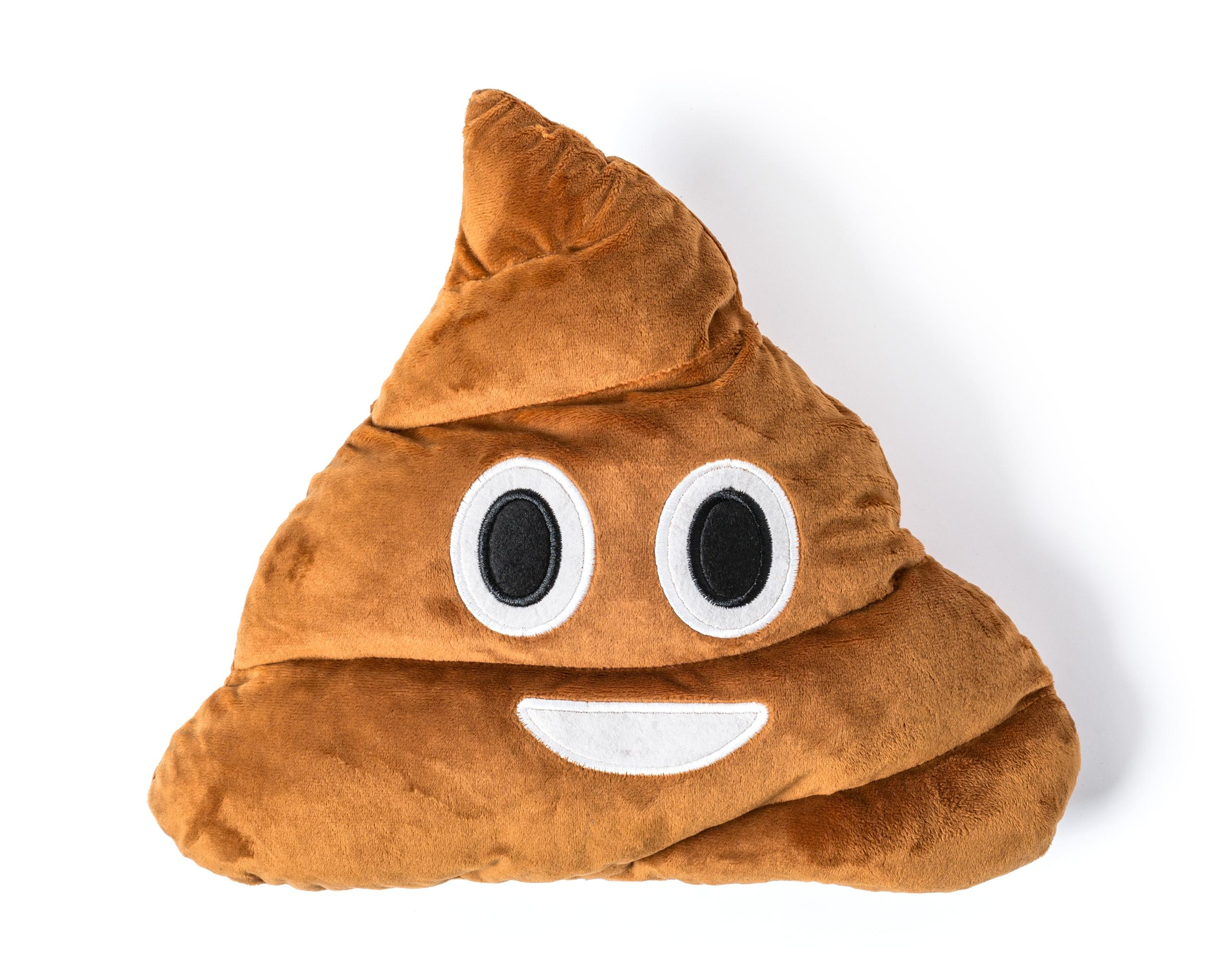Pillow Poop lächelnd