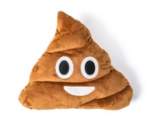 Pillow Poop lächelnd