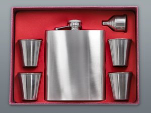 Set ALCO Spritzflasche 540 ml + 4 Stk. 80 ml Shotgläser